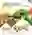 Global Bio & Renewable Energy Expo & Summit 2025